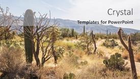  Presentation with arizona - Presentation theme with cactus-field-in-a-mountains background and a  colored foreground