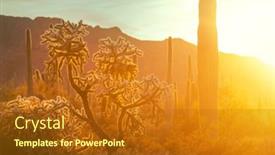  Presentation with arizona - Presentation theme with cactus-field-in-a-mountains background and a crimson colored foreground