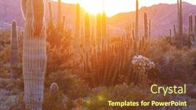  Presentation with arizona - Slide deck featuring cactus-field-in-a-mountains background and a tawny brown colored foreground