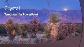  Presentation with arizona - Presentation having cactus-field-in-a-mountains background and a teal colored foreground