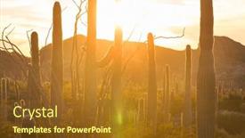 Presentation with arizona - Slide set enhanced with cactus-field-in-a-mountains background and a tawny brown colored foreground