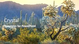  Presentation with arizona - Presentation featuring cactus-field-in-a-mountains background and a  colored foreground