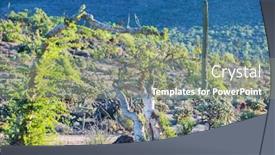  Presentation with cactus - Slide deck enhanced with cactus-fields-in-mexico-baja background and a gray colored foreground