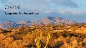  Presentation with cactus - PPT theme with cactus-fields-in-mexico-baja background and a light blue colored foreground