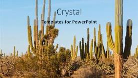 Presentation with cactus - Slide set with cactus-fields-in-mexico-baja background and a light blue colored foreground