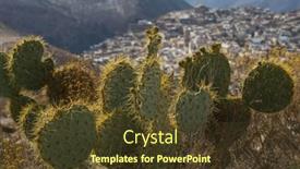  Presentation with cactus - Slide deck consisting of cactus-fields-in-mexico-baja background and a tawny brown colored foreground