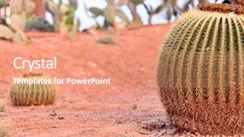  Presentation with cactus - PPT theme having cactus garden with a multitude of different cactus plants background and a coral colored foreground