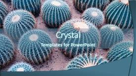  Presentation with botanical garden - Colorful PPT layouts enhanced with cactus in a botanical garden backdrop and a ocean colored foreground