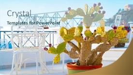  Presentation with veranda - Slide deck featuring cactus-in-a-flower-pot background and a cool aqua colored foreground