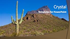  Presentation with cactus - Presentation theme having cactus in the desert background and a teal colored foreground