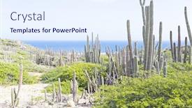  Presentation with cactus - Audience pleasing presentation theme consisting of cactus-plants-at-the-north backdrop and a sky blue colored foreground