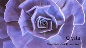  Presentation with succulents - Beautiful slide deck featuring cactus succulents in a planter backdrop and a light blue colored foreground