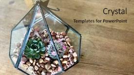  Presentation with automotive interior inside car - PPT layouts with inside a stylish home interior background and a coral colored foreground