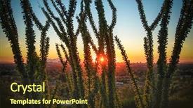  Presentation with cactus - Cool new slide deck with cactus tree over phoenix backdrop and a tawny brown colored foreground