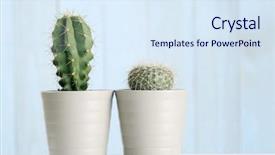  Presentation with cactus - Cool new slide deck with peyote - cactus with colorful background backdrop and a sky blue colored foreground