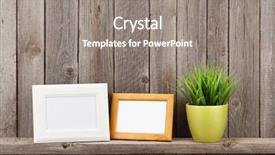  Presentation with plant - Slide set having blank photo frames and plant background and a gray colored foreground