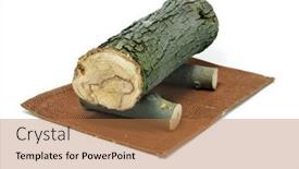  Presentation with spain - Cool new presentation with caga tio traditions in catalonia spain on christmas eve backdrop and a coral colored foreground