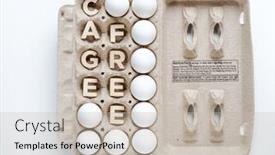  Presentation with cage - Theme consisting of cage-free-words-egg-carton background and a soft green colored foreground