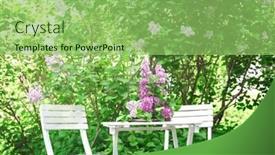  Presentation with cage - Cool new PPT theme with cage-with-beautiful-lilac-flowers backdrop and a seafoam green colored foreground