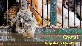  Presentation with cairo - Audience pleasing PPT layouts consisting of brown hare - caged rabbits ready to slaughter backdrop and a tawny brown colored foreground