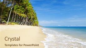  Presentation with palm beach - Theme enhanced with cairns - deserted tropical beach with palm background and a lemonade colored foreground