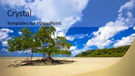  Presentation with mangrove - PPT layouts featuring cairns - mangrove tree on beach background and a light blue colored foreground