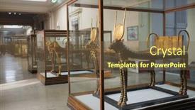  Presentation with egypt museum - Amazing PPT layouts having cairo-egypt-02-january-2016 backdrop and a tawny brown colored foreground