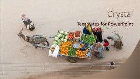  Presentation with vendor - PPT theme having cairo-egypt-february-5-2016 background and a lemonade colored foreground