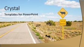  Presentation with cow - Presentation theme consisting of cajon - desert road and cow crossing background and a light blue colored foreground