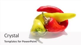  Presentation with world cultures - Amazing presentation theme having shipping - female tourist taking photo backdrop and a gray colored foreground.