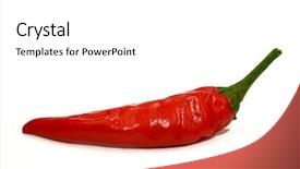 Presentation with red chilli - Cool new PPT layouts with cajun restaurant - red hot chilli peppers isolated backdrop and a  colored foreground