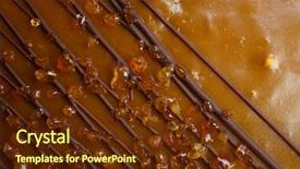  Presentation with cake - PPT theme enhanced with cake famous throughout the world background and a  colored foreground