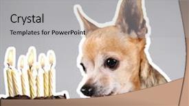  Presentation with party candles - Cool new theme with cake with candles on fire backdrop and a light gray colored foreground