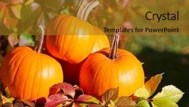  Presentation with fall abstract - Audience pleasing presentation theme consisting of calabash - autumn pumpkins on wood backdrop and a gold colored foreground