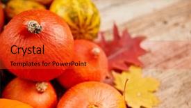  Presentation with fall abstract - Beautiful slides featuring calabash - autumn pumpkins on wood backdrop and a red colored foreground