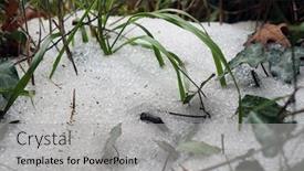  Presentation with falls - Amazing theme having caledonia-falls-trail-troodos-mountain backdrop and a light gray colored foreground