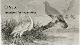  Presentation with new caledonia - Audience pleasing PPT layouts consisting of caledonia white crane and goliath backdrop and a light gray colored foreground