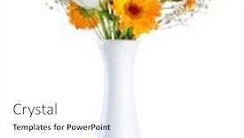  Presentation with calendula - Amazing slides having calendula-flowers-in-vase-isolated backdrop and a white colored foreground
