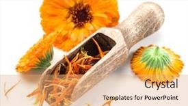  Presentation with calendula - Audience pleasing presentation design consisting of calendula flowers on the white backdrop and a coral colored foreground