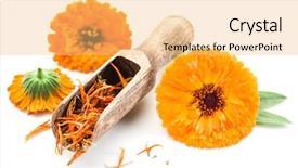  Presentation with calendula - Colorful PPT theme enhanced with calendula flowers on the white backdrop and a yellow colored foreground