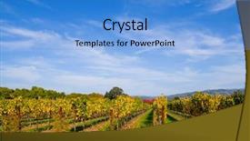  Presentation with napa - Theme having california fall colors - vineyard in napa valley background and a  colored foreground