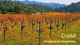  Presentation with napa - Theme featuring california fall colors - vineyard in napa valley background and a  colored foreground