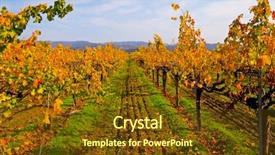  Presentation with napa - Cool new presentation theme with california fall colors - vineyard in napa valley backdrop and a  colored foreground