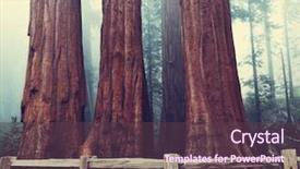  Presentation with shenandoah national park big meadows - Amazing PPT layouts having woman having a terribla headache backdrop and a dark gray colored foreground