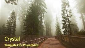  Presentation with usa flag - Slide deck with california flag - sequoia national park in usa background and a tawny brown colored foreground
