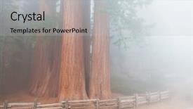 Presentation with arches national park - Beautiful theme featuring california flag - sequoia national park in usa backdrop and a light gray colored foreground