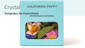  Presentation with poppy - Slides enhanced with california-poppy-medicinal-herbs background and a arctic colored foreground