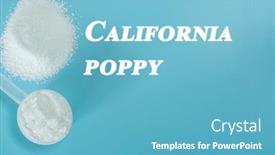  Presentation with cognitive - Slide deck having california-poppy-nootropics-or-smart background and a teal colored foreground