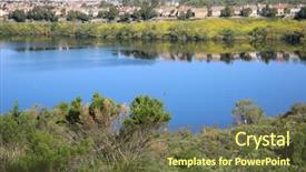  Presentation with rain fall - Theme having california wild flowers super bloom background and a tawny brown colored foreground