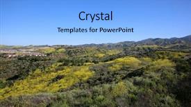  Presentation with rain fall - Audience pleasing PPT layouts consisting of california wild flowers super bloom backdrop and a light blue colored foreground